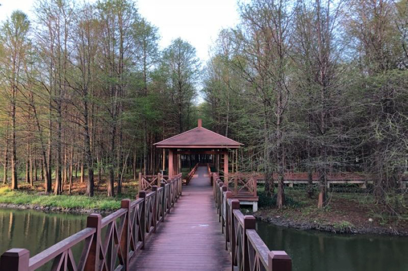 Kangqiao Ecological Park